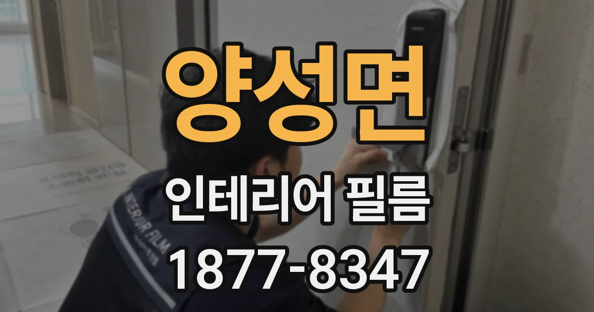 양성면 인테리어 필름