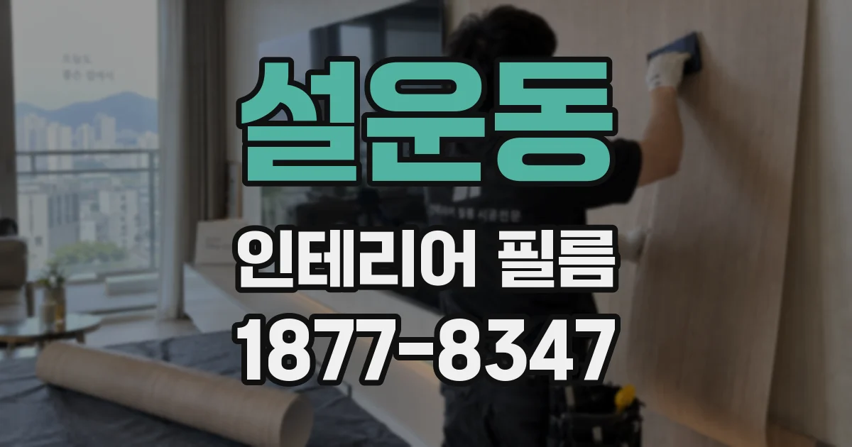 설운동 인테리어 필름