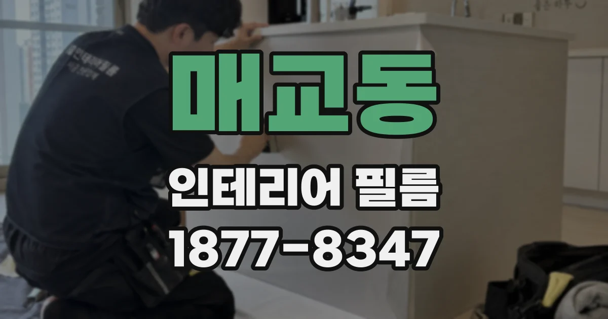 매교동 인테리어 필름