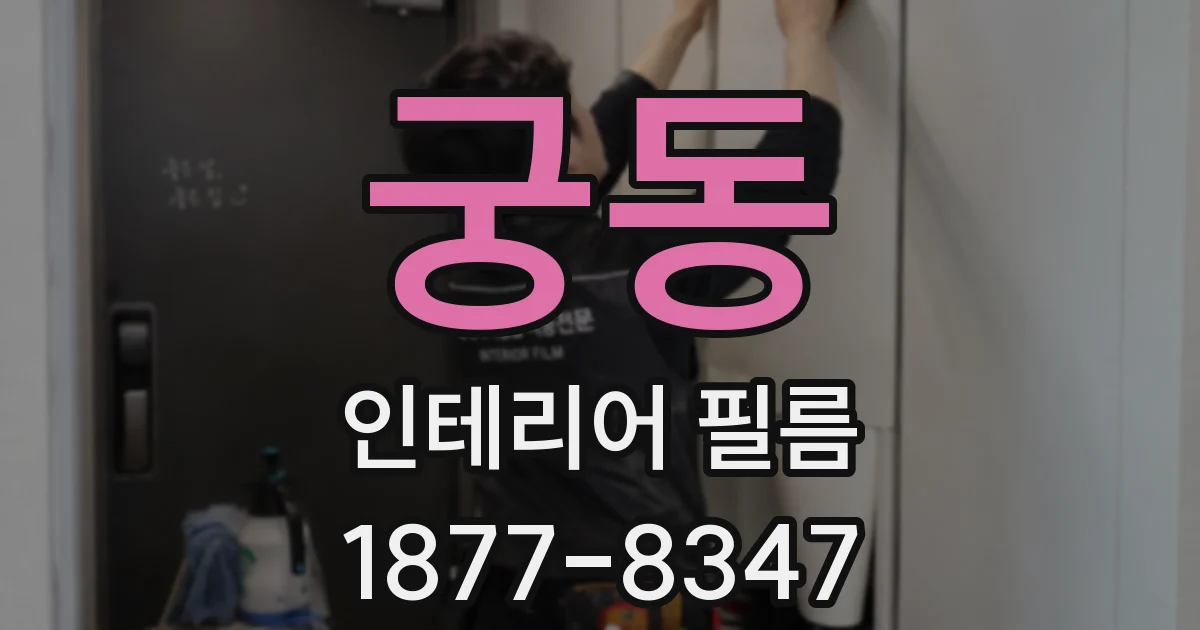 궁동 인테리어 필름