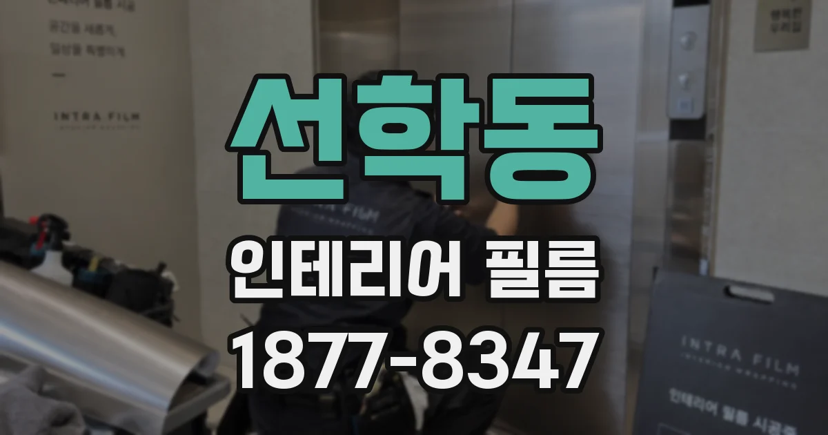 선학동 인테리어 필름
