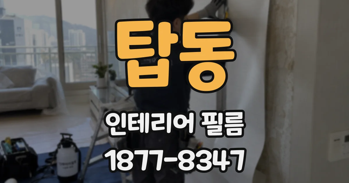 탑동 인테리어 필름