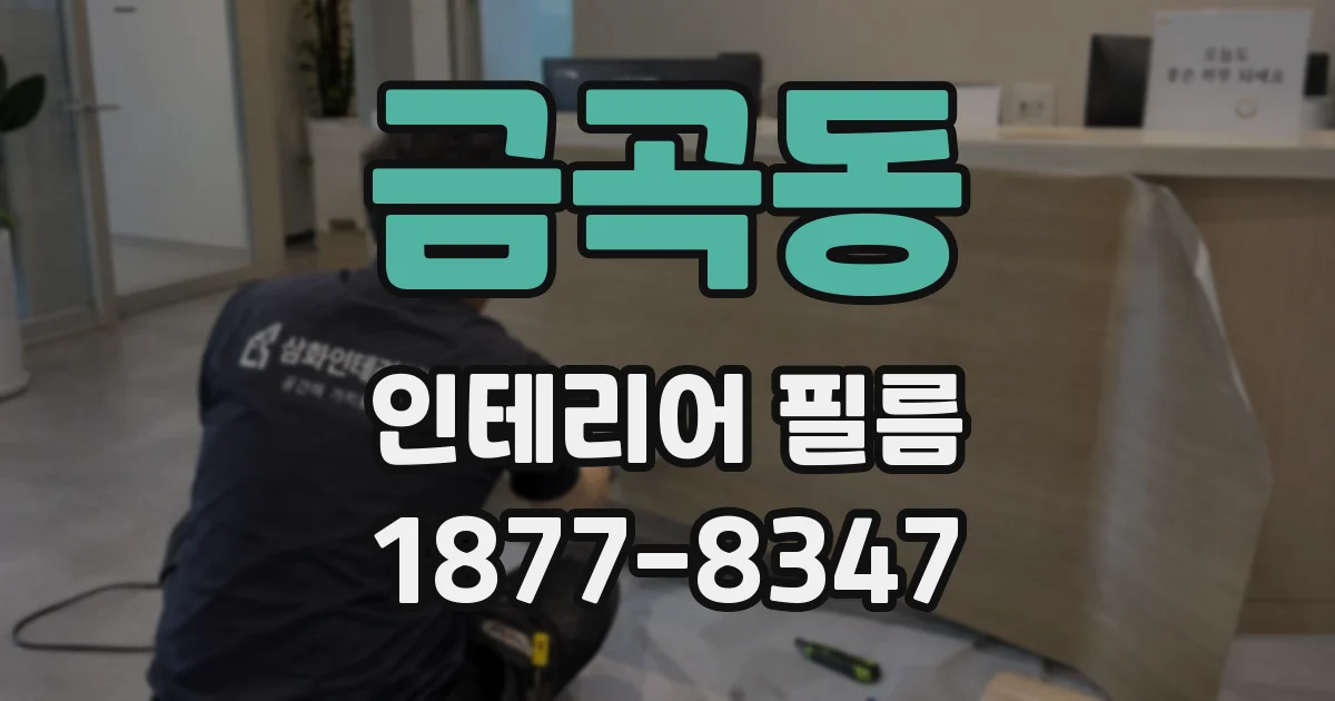 금곡동 인테리어 필름