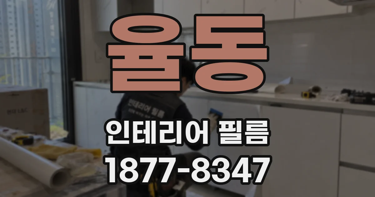 율동 인테리어 필름