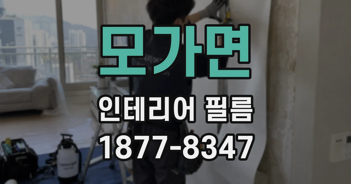 모가면 인테리어 필름