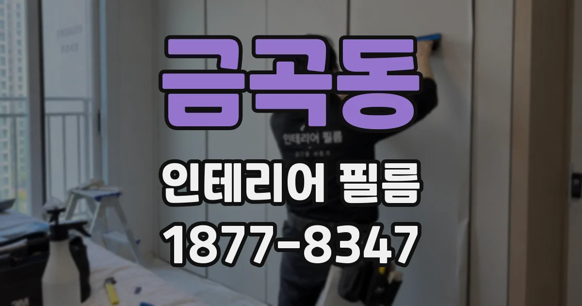 금곡동 인테리어 필름