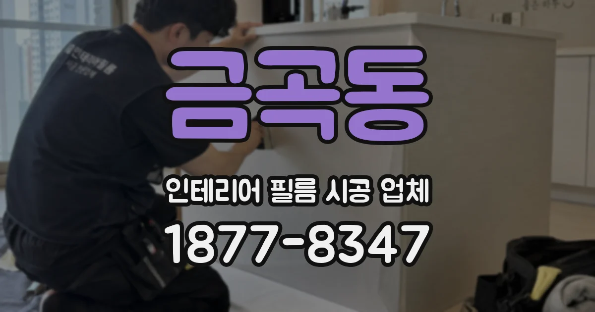 금곡동 인테리어 필름 시공 업체