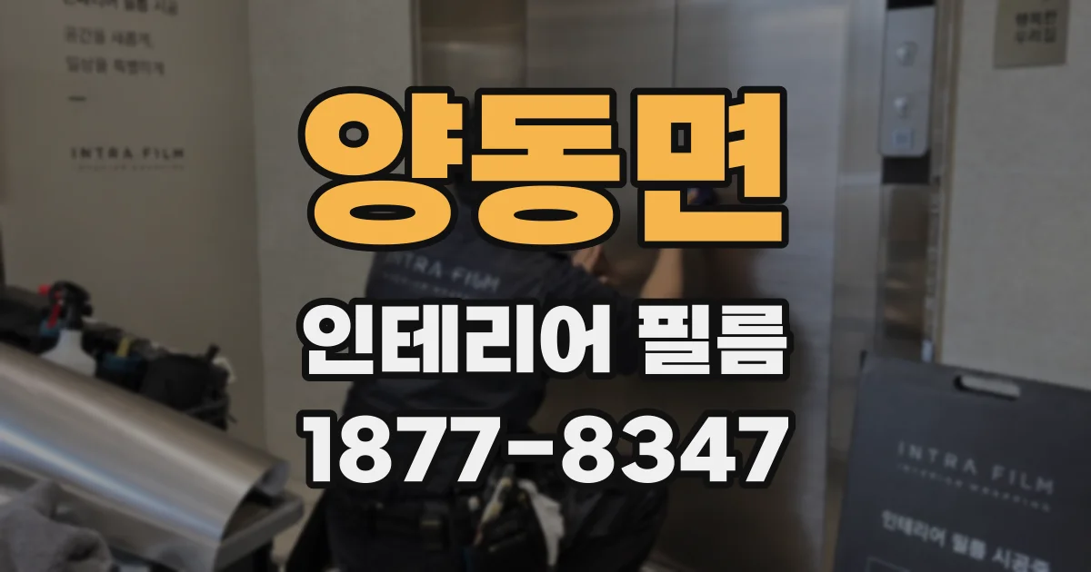 양동면 인테리어 필름