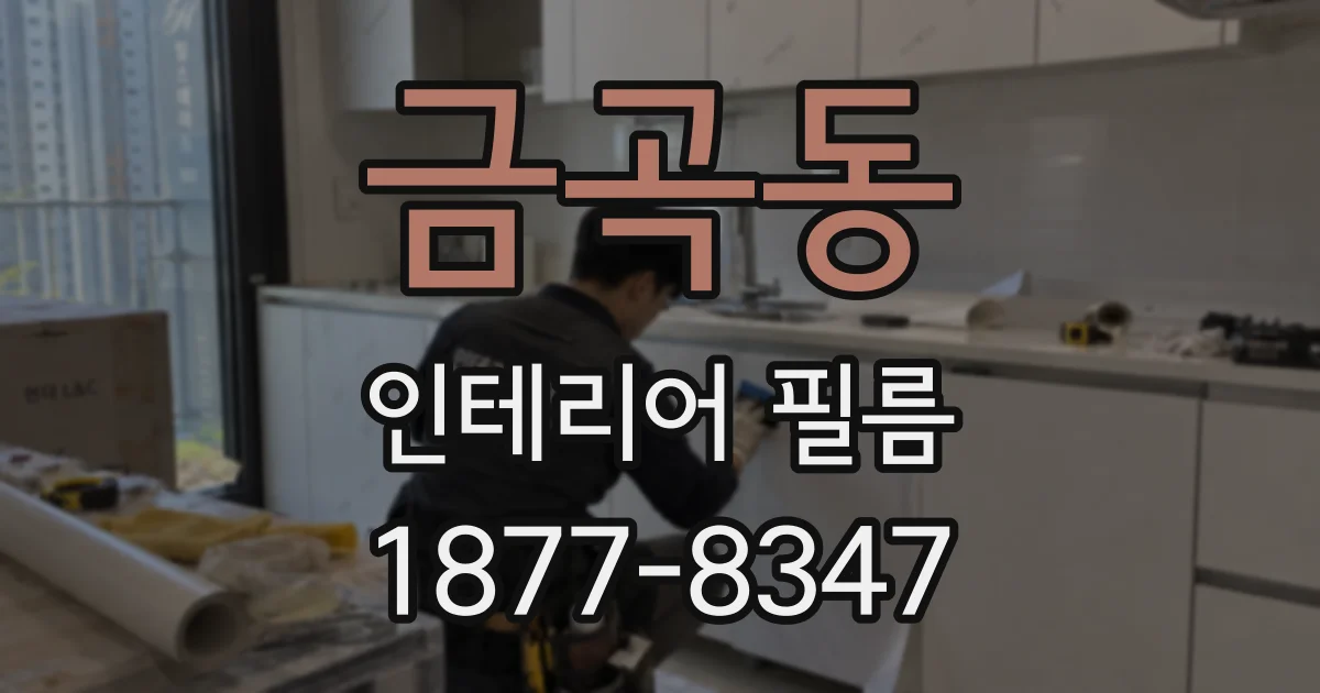 금곡동 인테리어 필름
