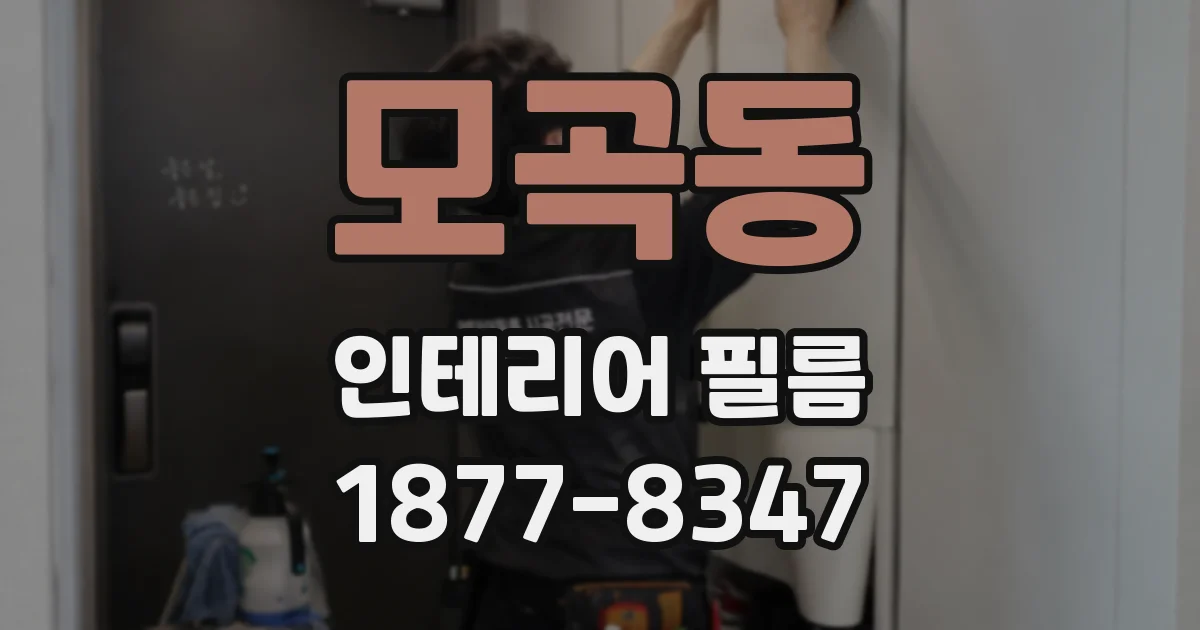 모곡동 인테리어 필름