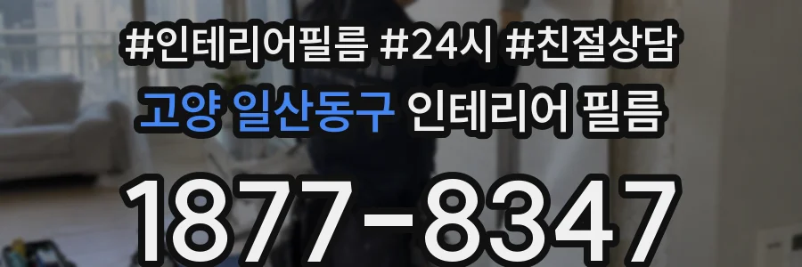 고양 일산동구 인테리어 필름