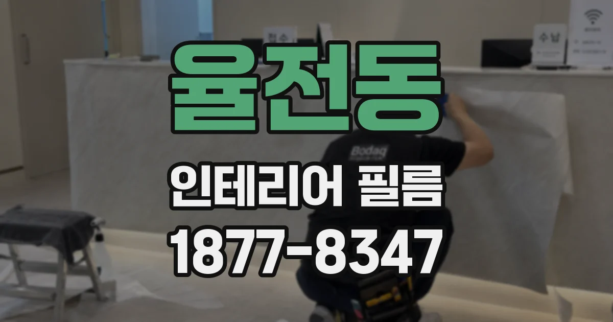 율전동 인테리어 필름