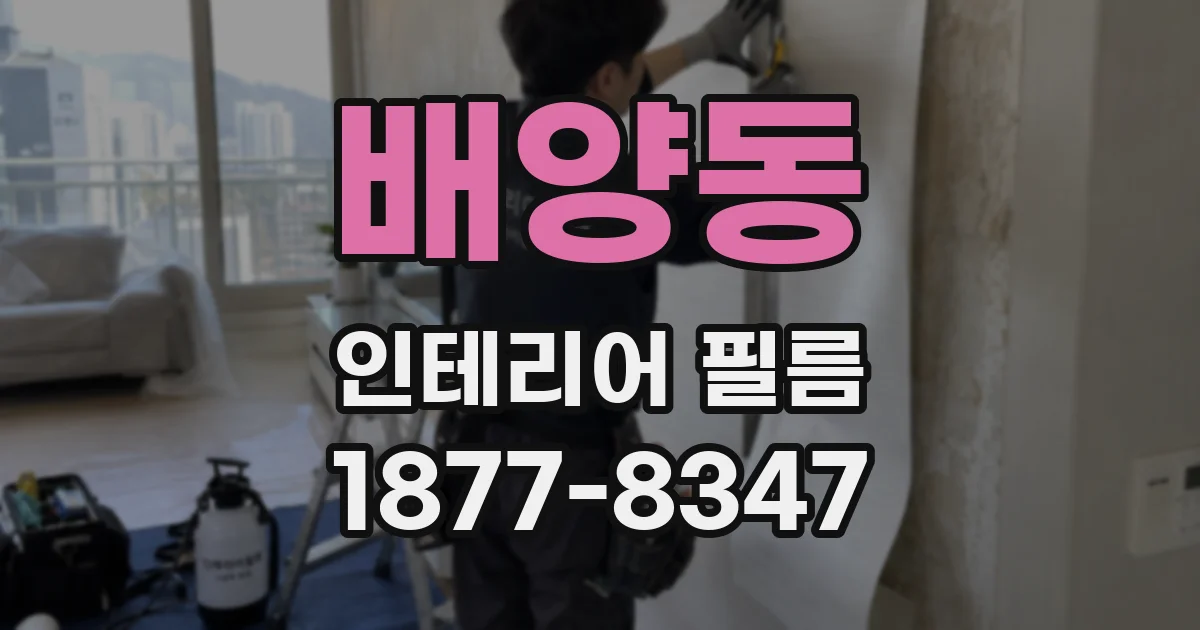 배양동 인테리어 필름