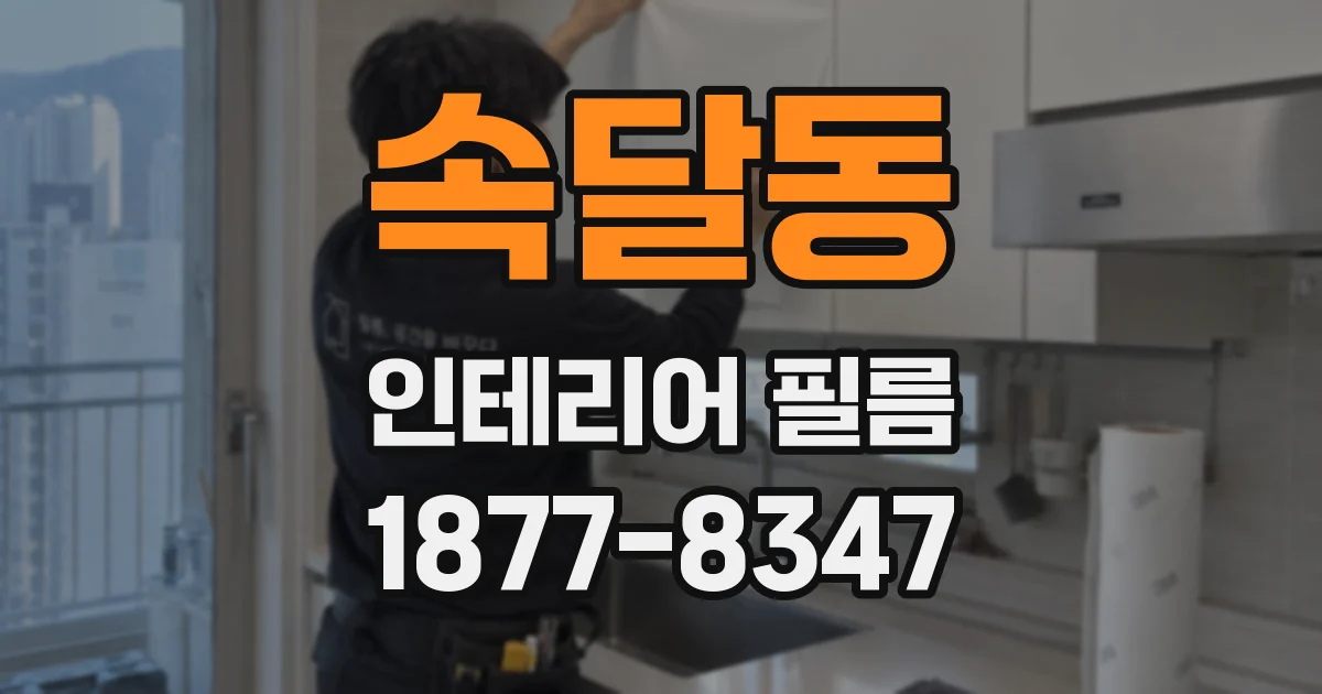 속달동 인테리어 필름