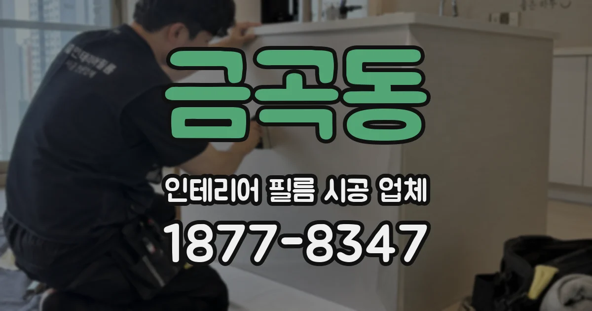 금곡동 인테리어 필름 시공 업체