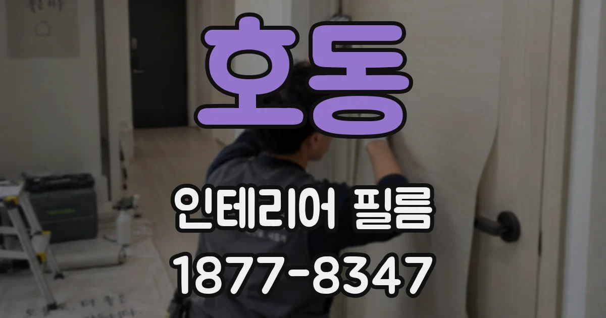 호동 인테리어 필름