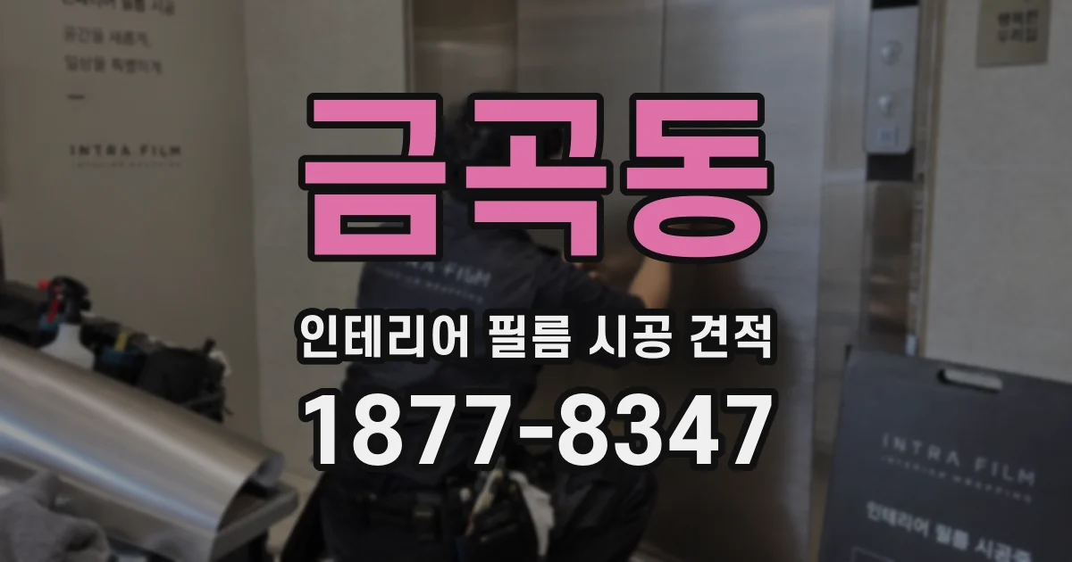 금곡동 인테리어 필름 시공 견적