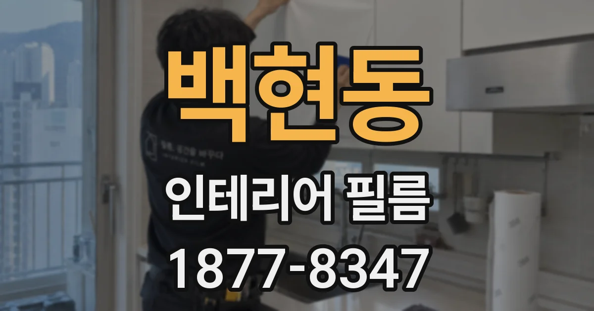 백현동 인테리어 필름