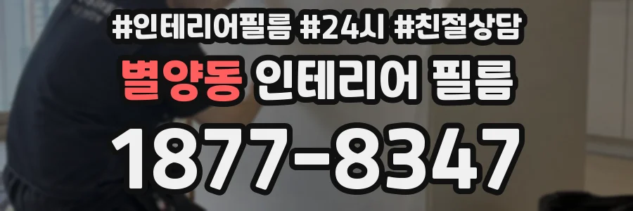 별양동 인테리어 필름