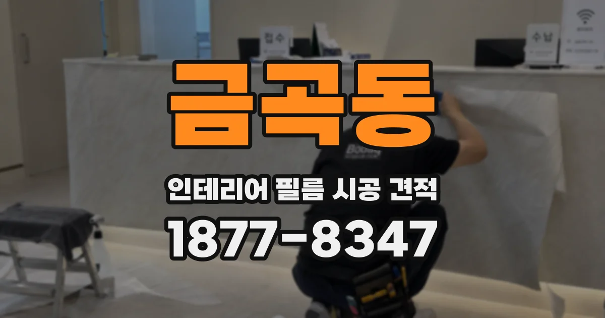 금곡동 인테리어 필름 시공 견적