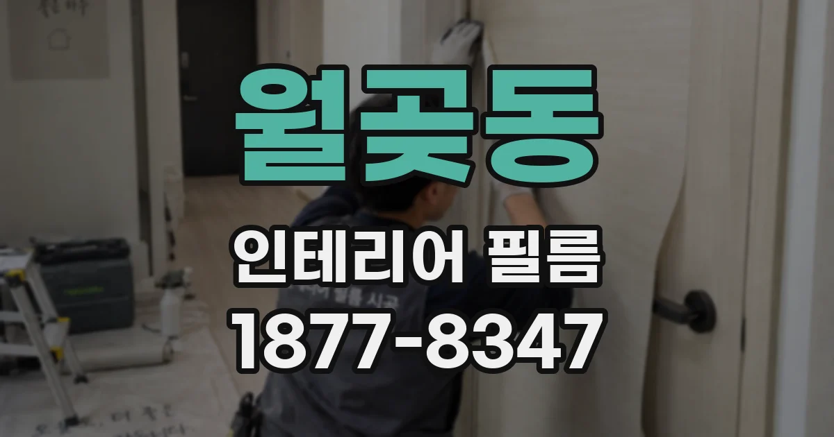 월곶동 인테리어 필름