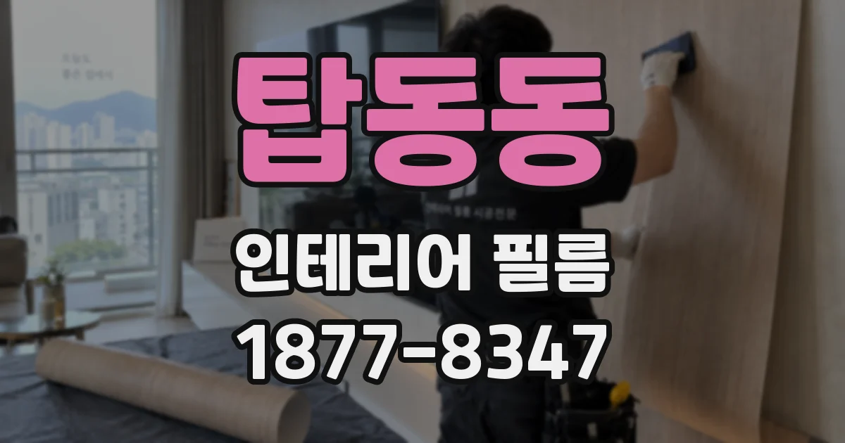 탑동동 인테리어 필름