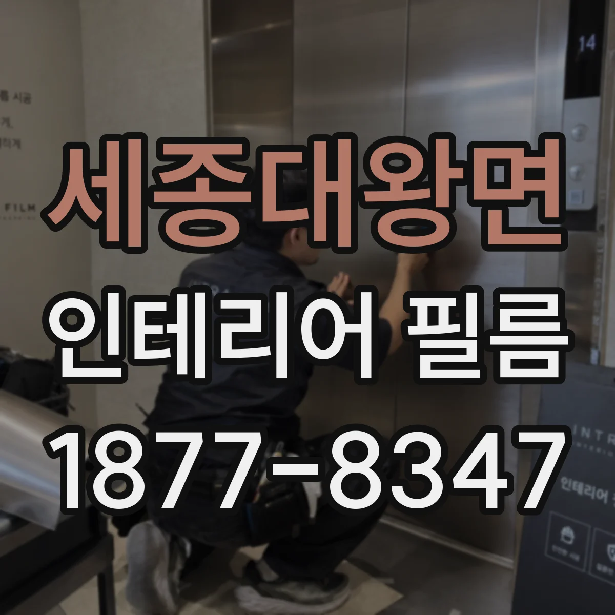 세종대왕면 인테리어 필름