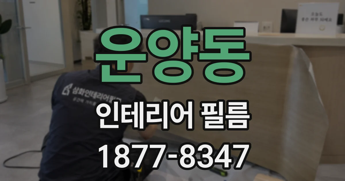 운양동 인테리어 필름