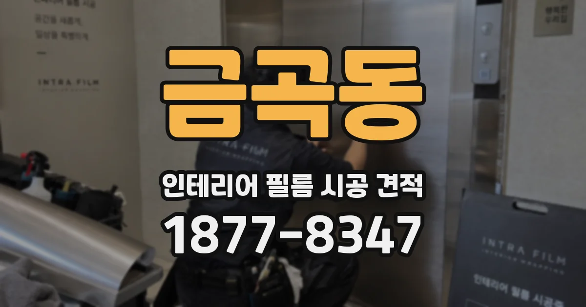 금곡동 인테리어 필름 시공 견적