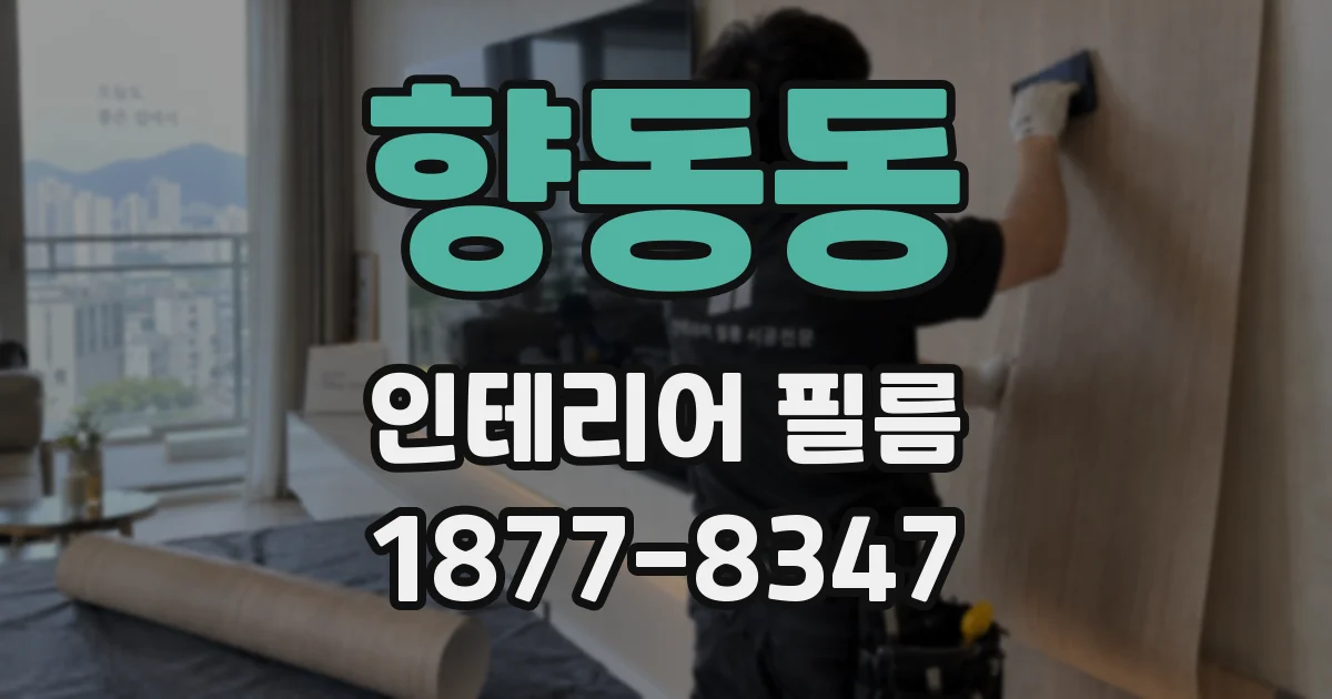 향동동 인테리어 필름