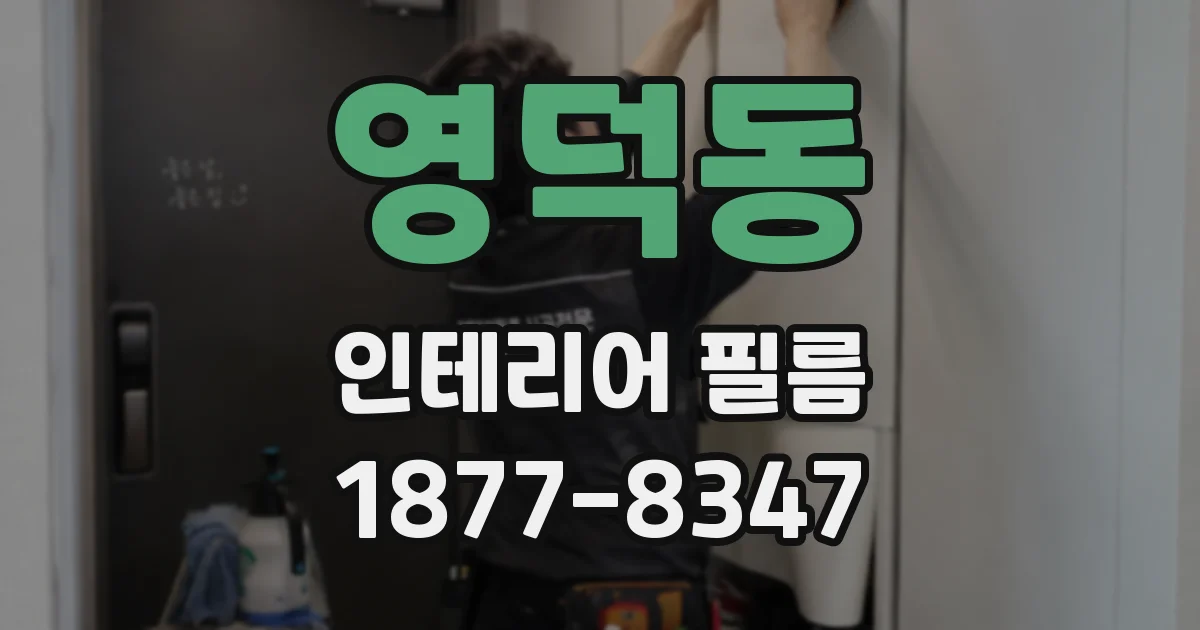 영덕동 인테리어 필름