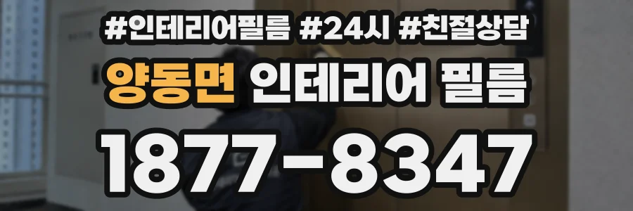 양동면 인테리어 필름