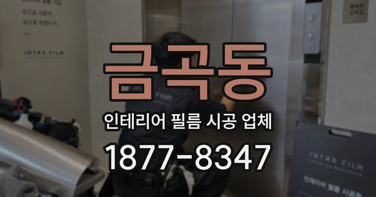 금곡동 인테리어 필름 시공 업체