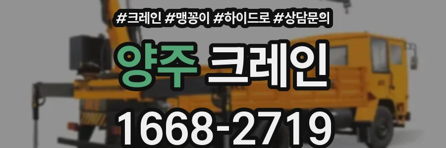 양주 크레인