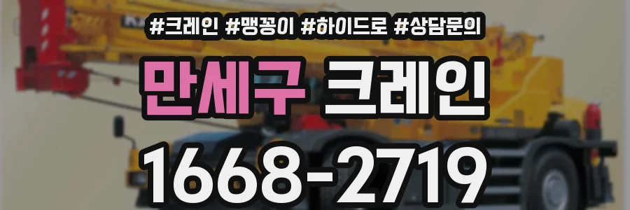 만세구 크레인