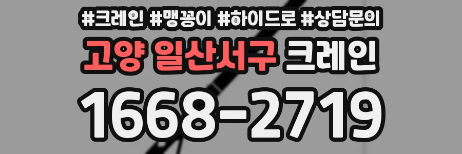 고양 일산서구 크레인