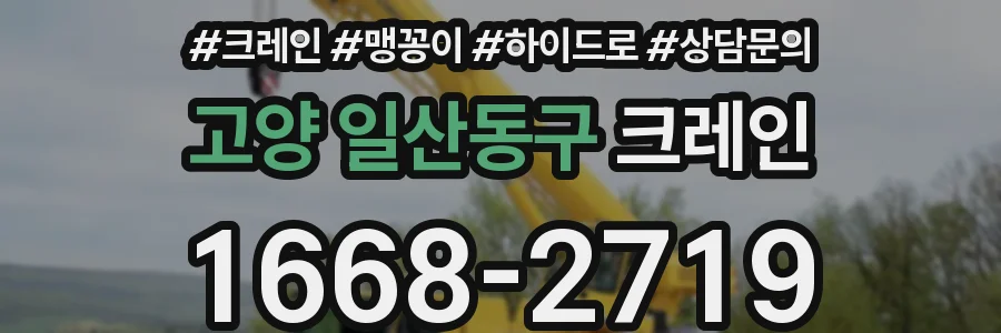 고양 일산동구 크레인