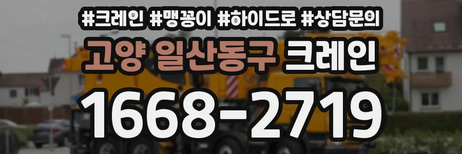 고양 일산동구 크레인