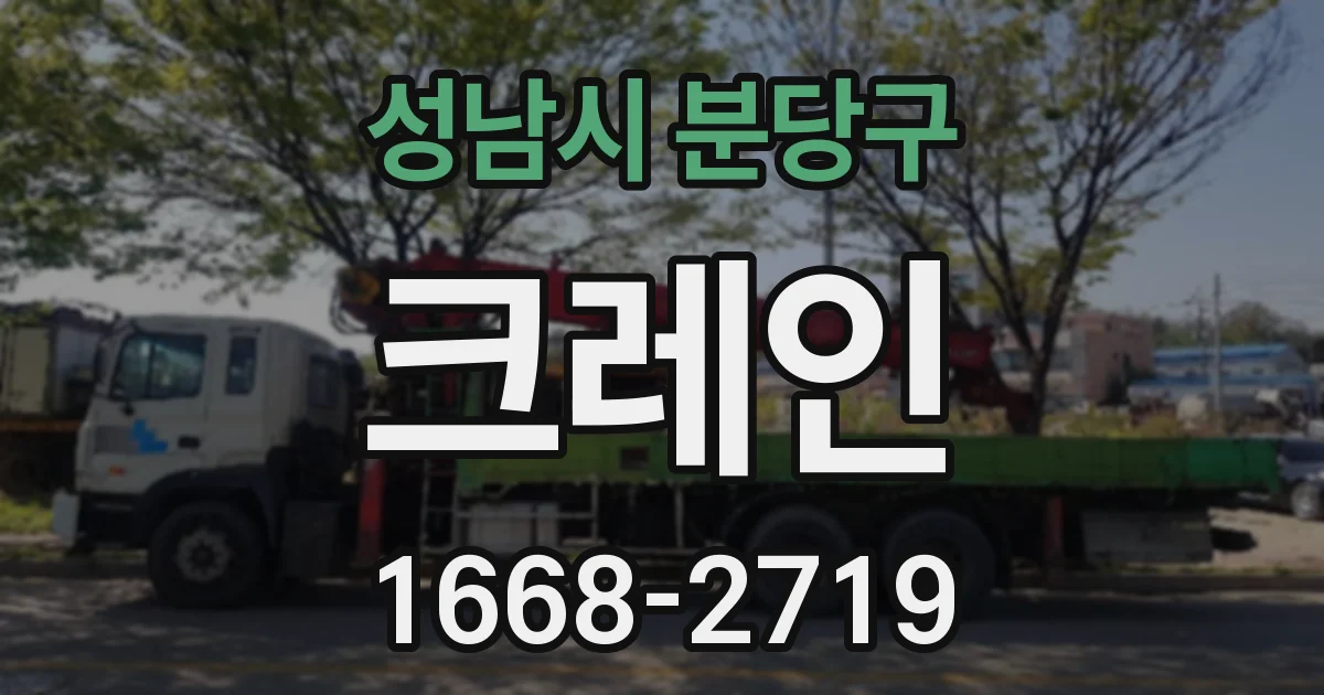 성남시 분당구 크레인