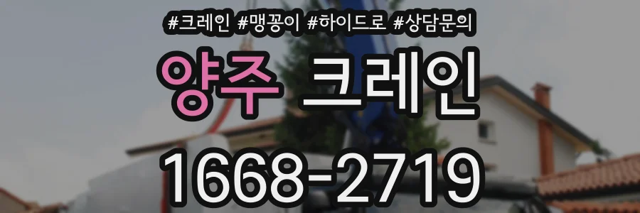 양주 크레인