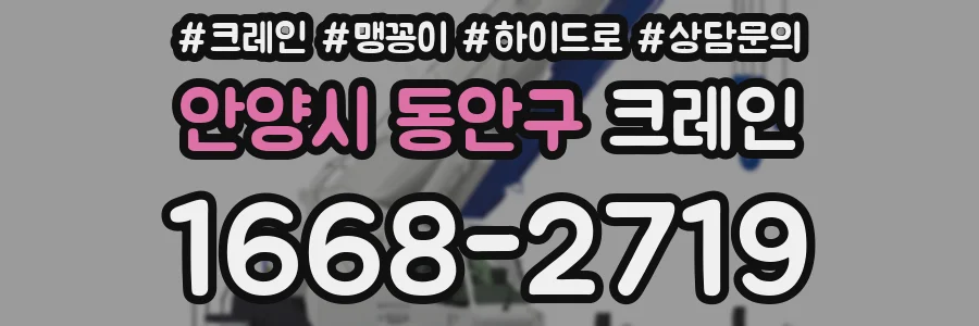 안양시 동안구 크레인