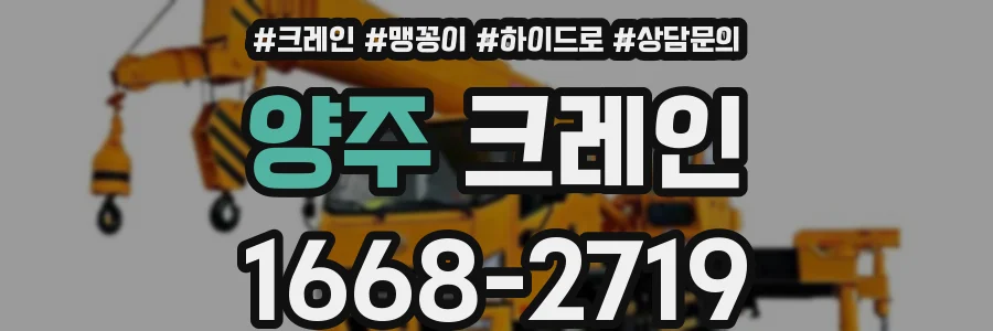 양주 크레인