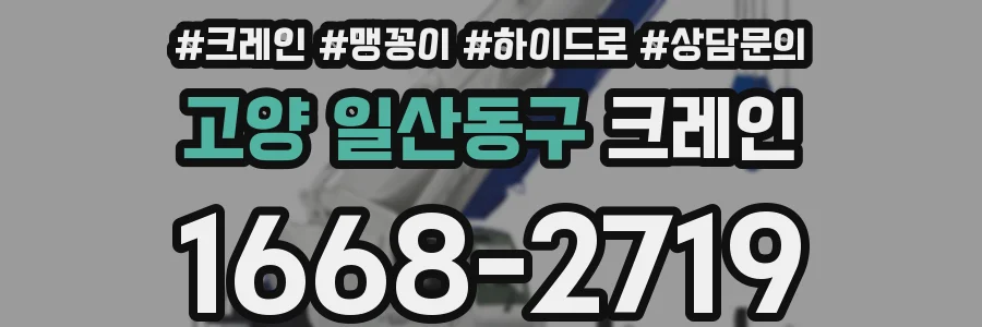 고양 일산동구 크레인