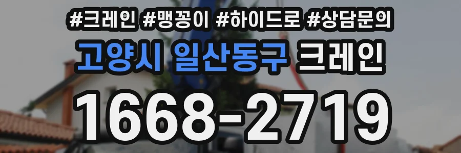 고양시 일산동구 크레인