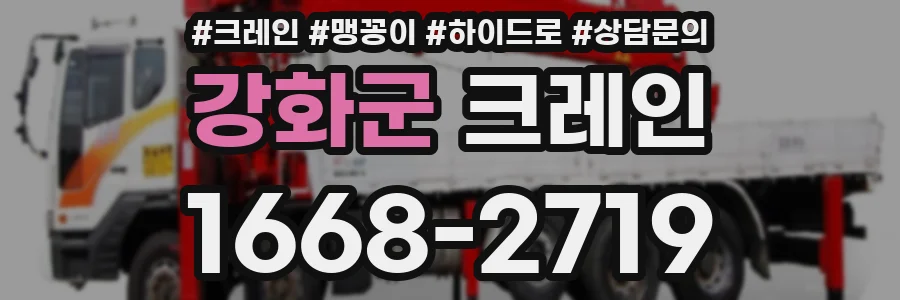 강화군 크레인