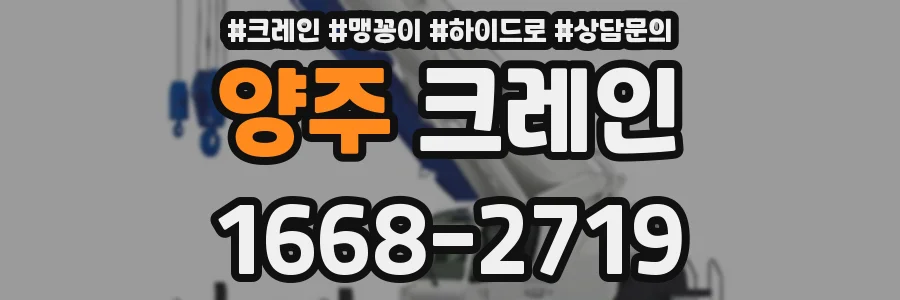 양주 크레인