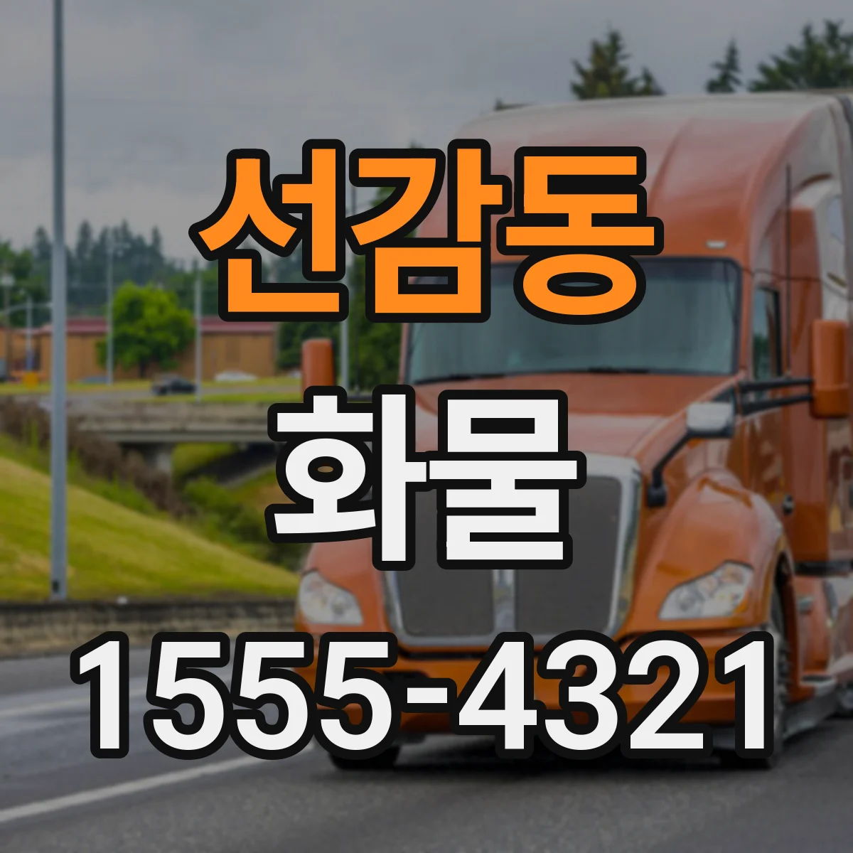 선감동 화물