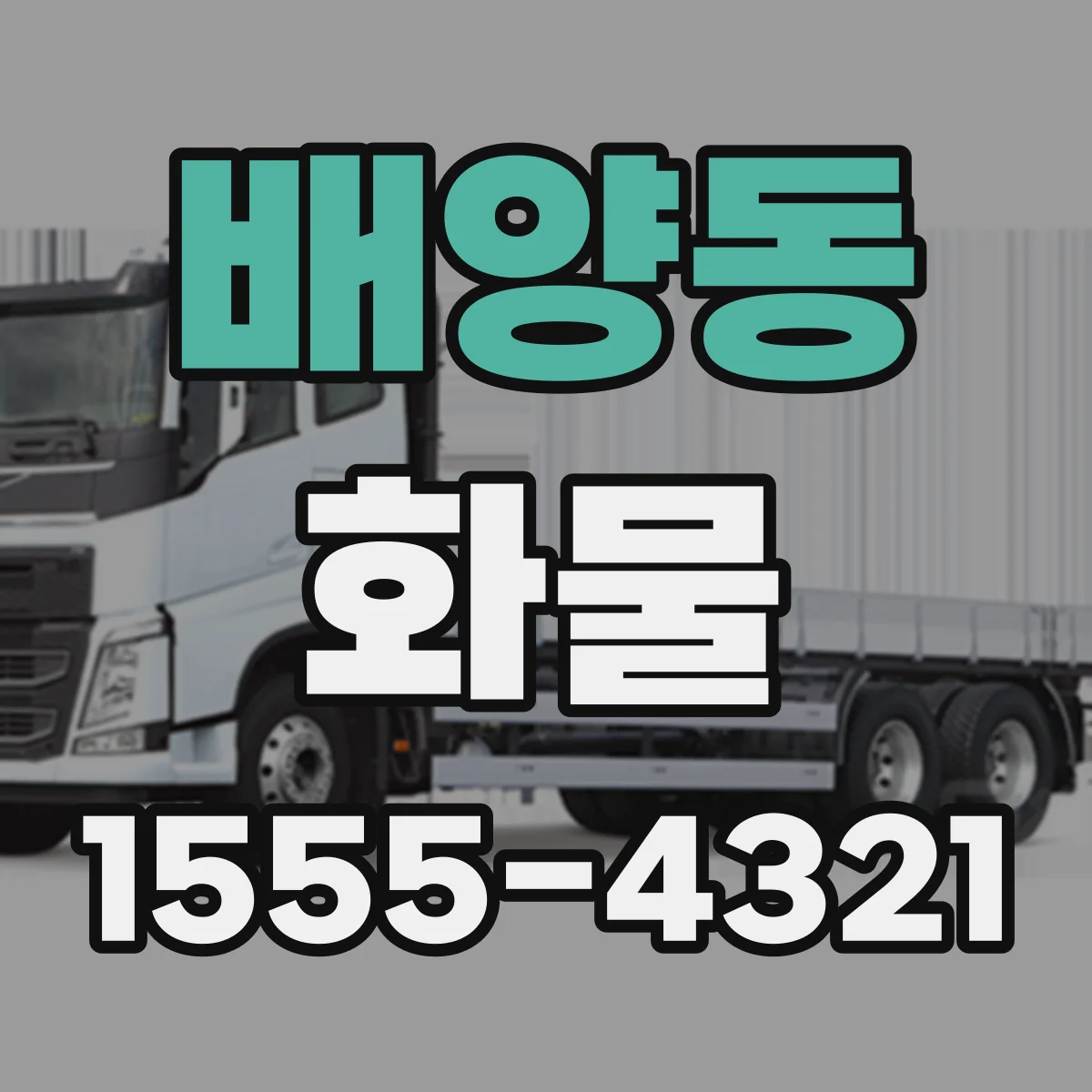 배양동 화물