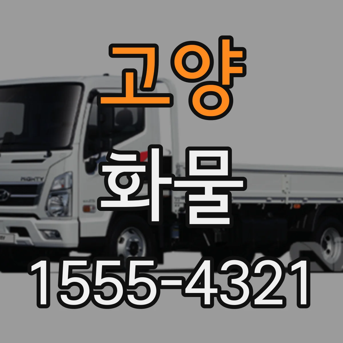 고양 화물