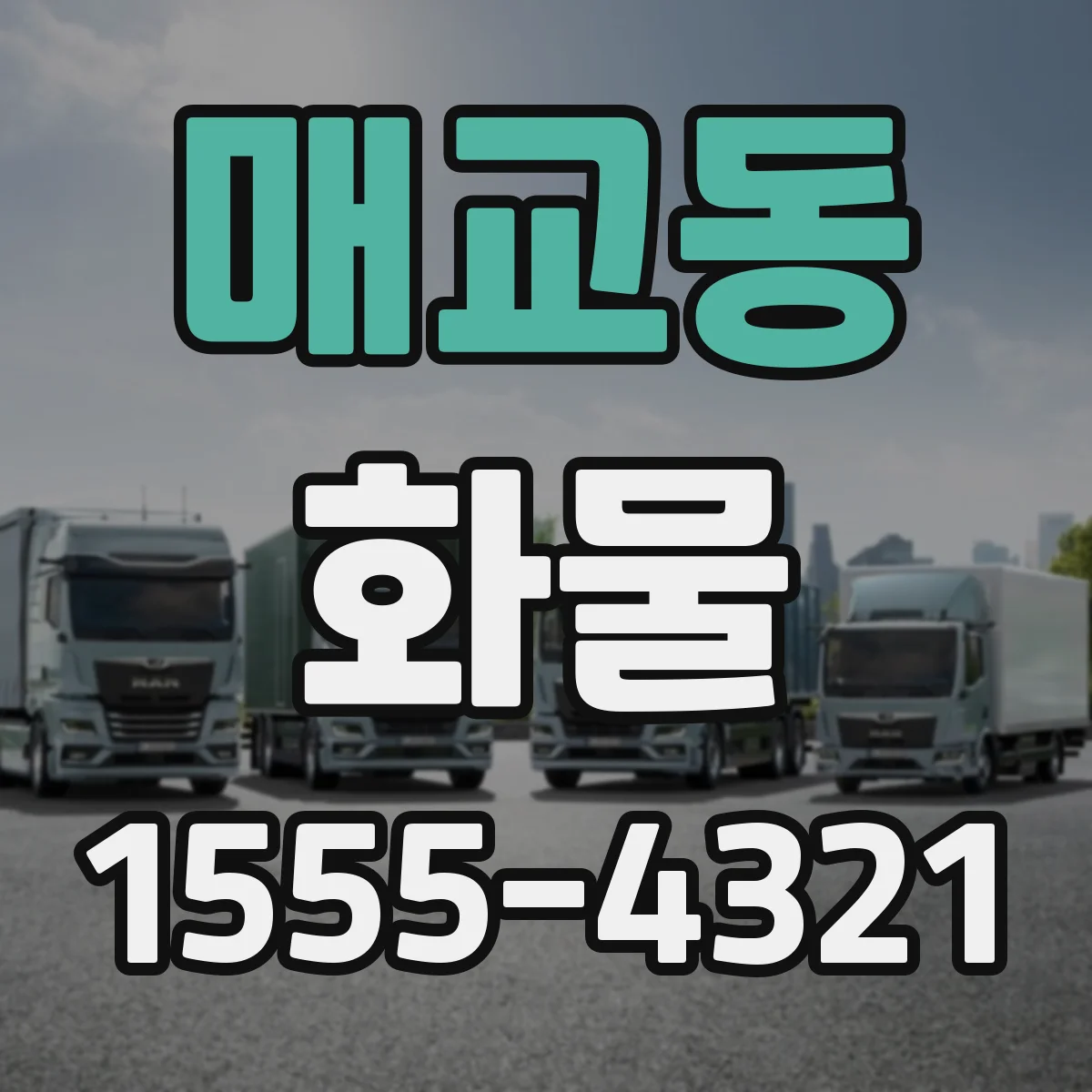 매교동 화물